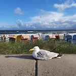 Meerglueck In Der Ostseeresidenz Gandarm * Wischuer