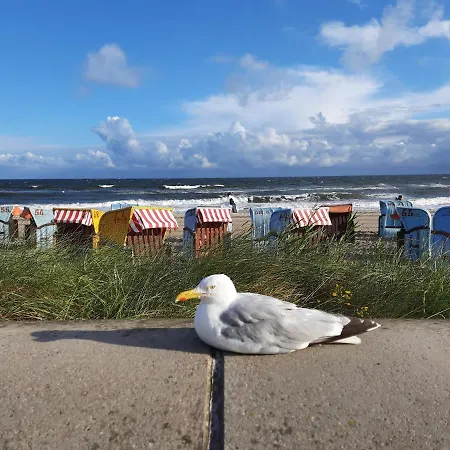 Meerglueck In Der Ostseeresidenz Gandarm * Wischuer